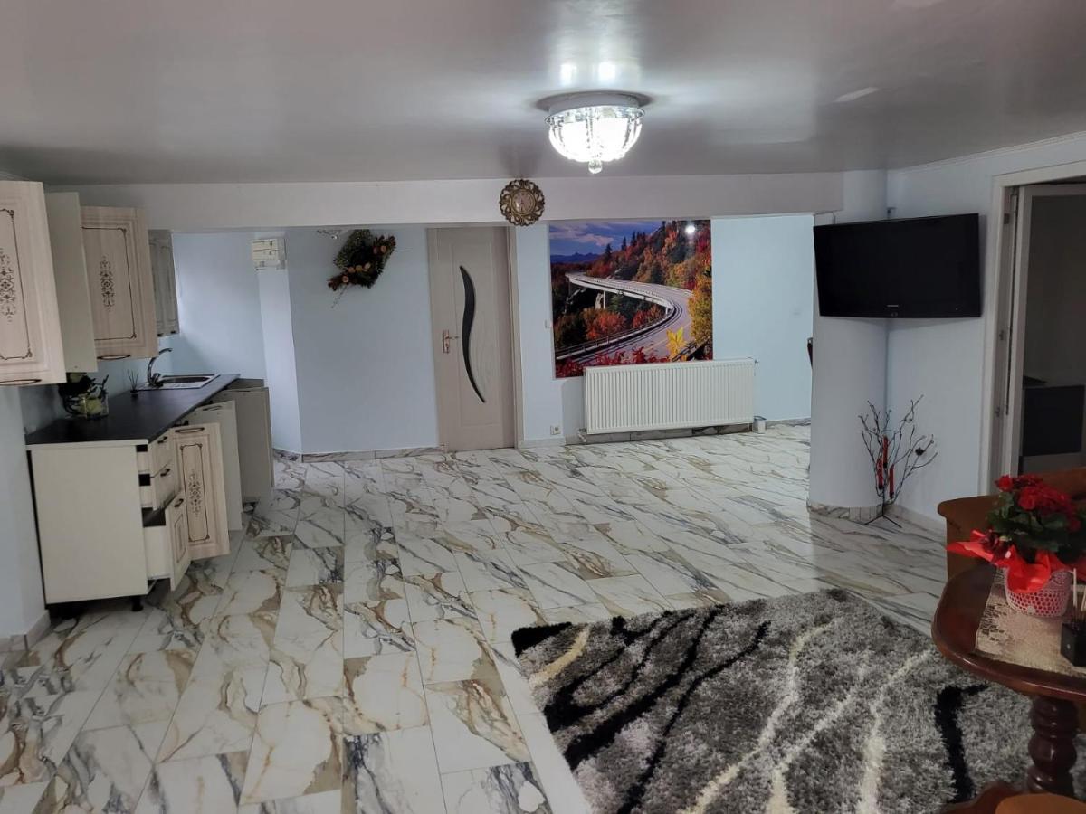 Апартаменты Apartament Cu Terasa Si Gratar Сату-Маре Экстерьер фото