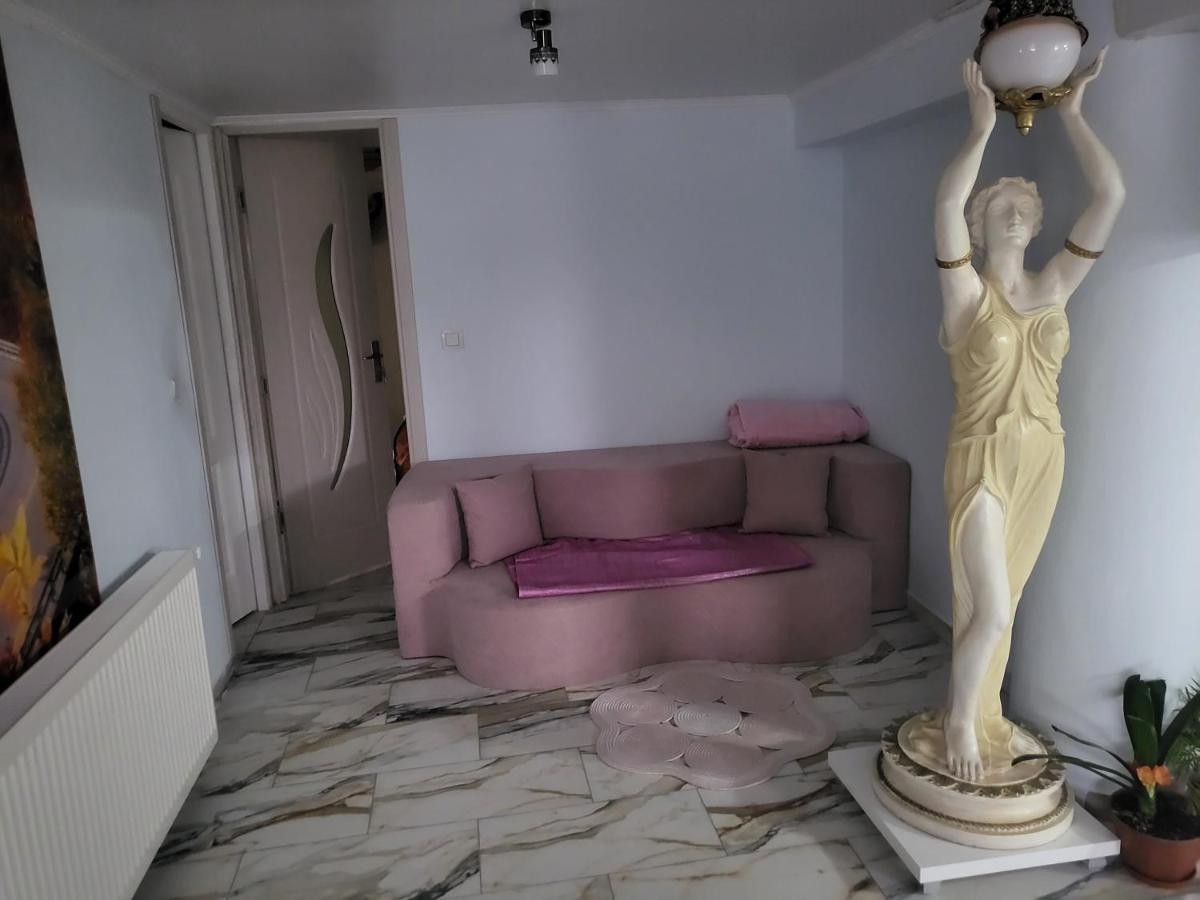 Апартаменты Apartament Cu Terasa Si Gratar Сату-Маре Экстерьер фото